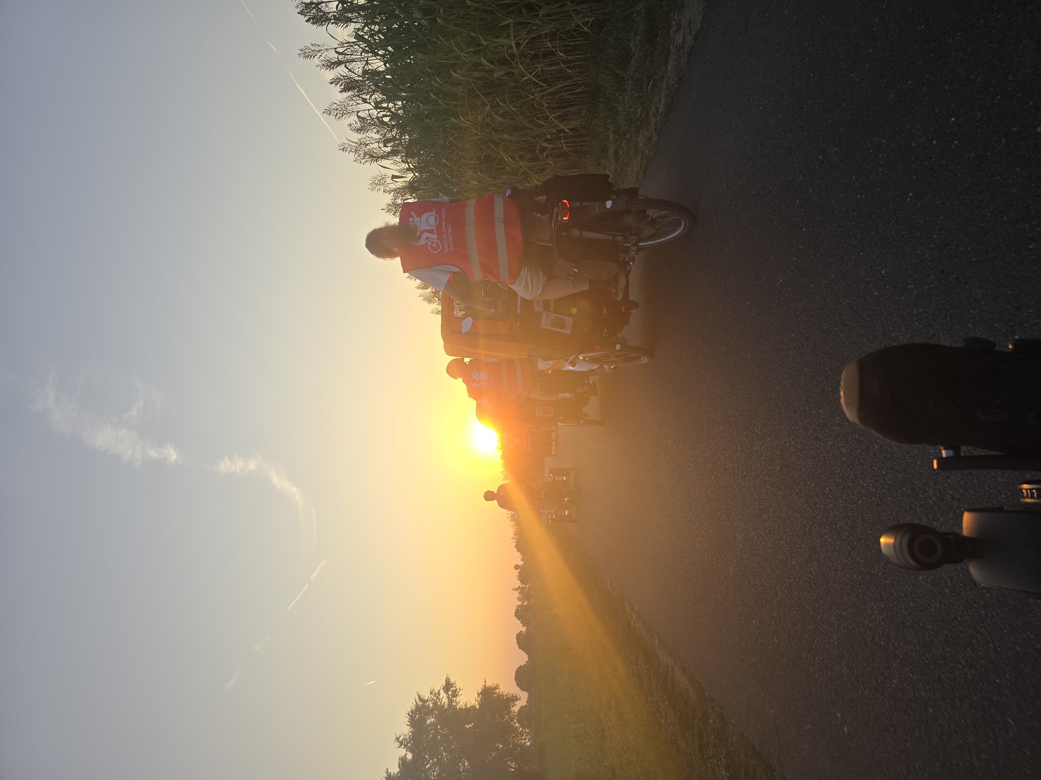 Der Sonne entgegen