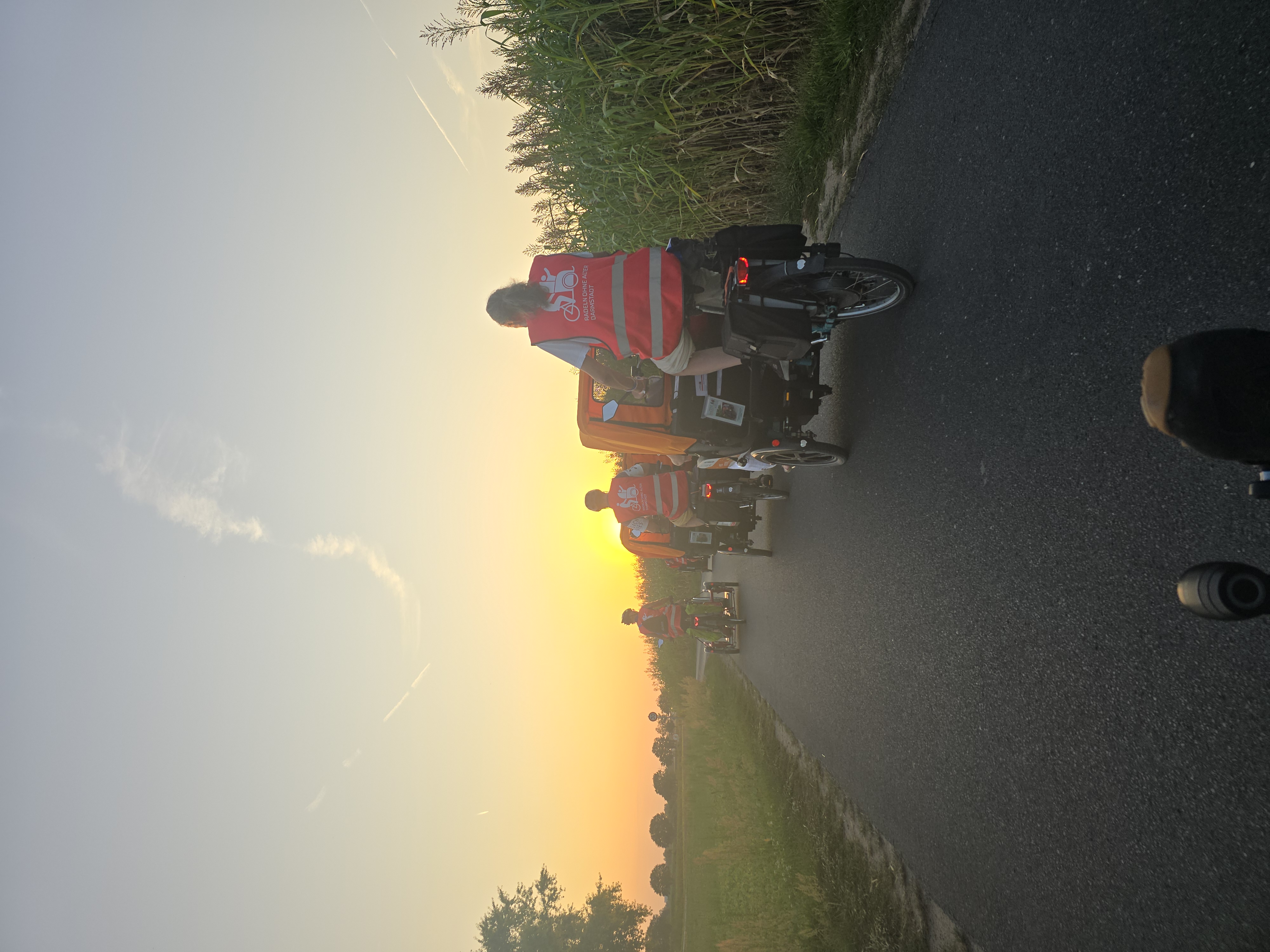 Der Sonne entgegen